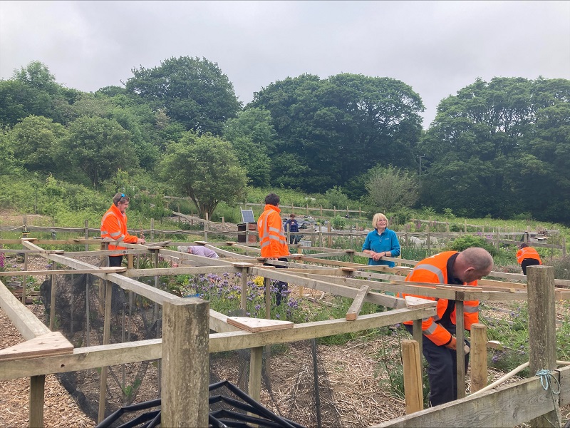 Flinshare Gardens volunteer day