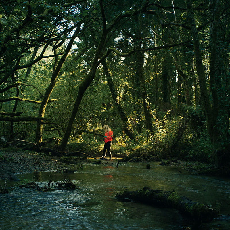 Gwybodaeth am Llygredd