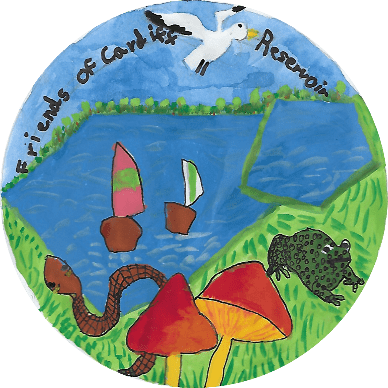 Rhydypenau Primary School Pupils Design the Logo for Friends of Cardiff Reservoirs