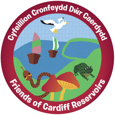 Rhydypenau Primary School Pupils Design the Logo for Friends of Cardiff Reservoirs